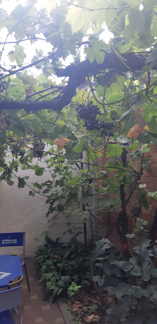 Гостиница Молодежная Ростов-на-Дону-139