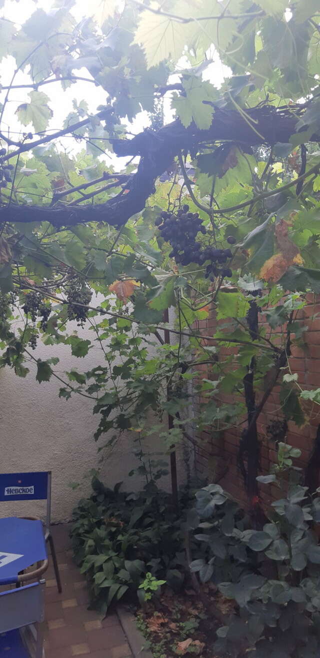 Гостиница Молодежная Ростов-на-Дону-138